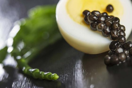 Superbe repas du soir  - à la Maison Tropicale de Frutigen 6 