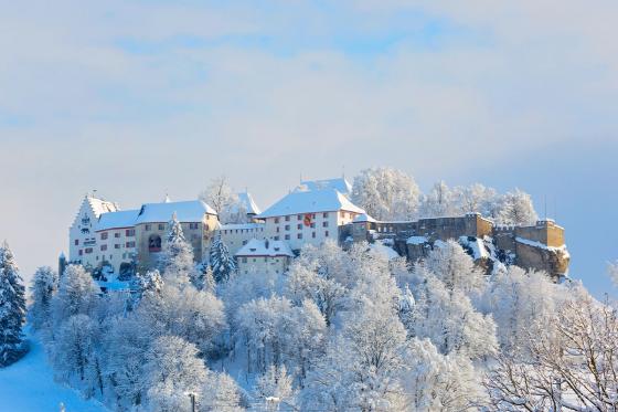 Montgolfière sur le lac de Hallwil - 1 nuitée incluse pour 2 personnes 6 