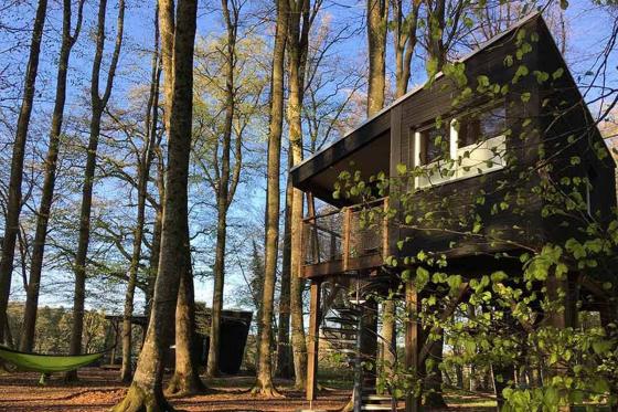 Waldhütten-Übernachtung - inkl. Frühstück für 2 Personen  