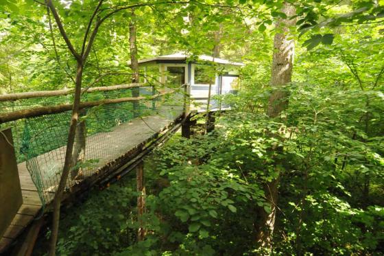 Nuit dans une cabane perchée - pour 2 personnes, petit déjeuner inclus 3 