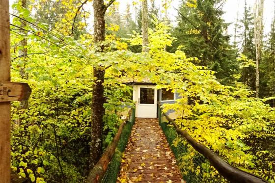 Nuit dans une cabane perchée - pour 2 personnes, petit déjeuner inclus 7 