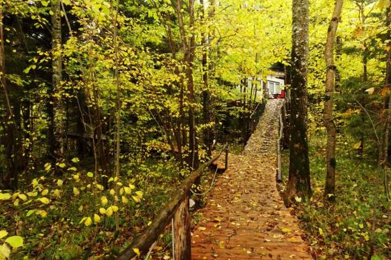 Nuit dans une cabane perchée - pour 2 personnes, petit déjeuner inclus 8 