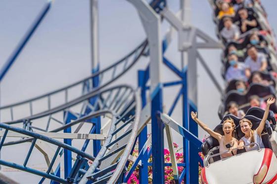 Journée à Europa-park  - 1 entrée journalière avec transport, pour 1 adulte  