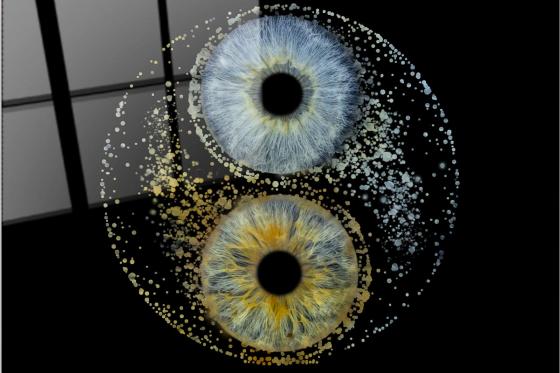 Photo d'iris - Design Yin Yang sur plaque en verre 50x50cm 3 