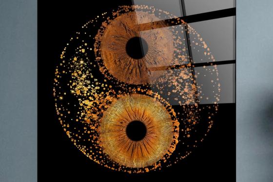 Photo d'iris - Design Yin Yang aur plexiglas 40x40cm 1 