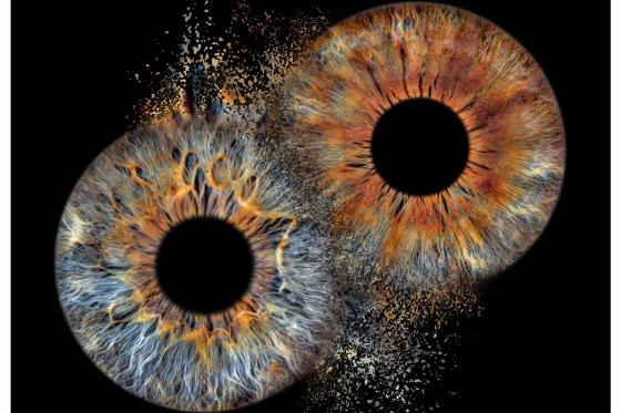 Photo d'iris en couple - 40x40cm, impression sur verre acrylique avec effet explosion, pour 2 3 