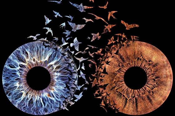 Iris Paar Fotografie - Love Design auf Acrylglas 40x40 cm 1 