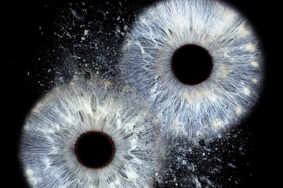 Séance photo de l'Iris - Vous & votre personne préférée - Couples, amis, famille  