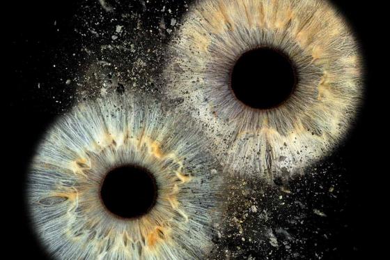 Séance photo de l'Iris - Vous & votre personne préférée - Couples, amis, famille 1 