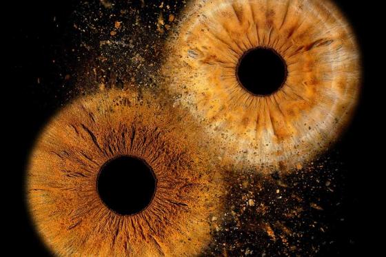 Séance photo de l'Iris - Vous & votre personne préférée - Couples, amis, famille 2 