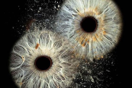 Séance photo de l'Iris - Vous & votre personne préférée - Couples, amis, famille 3 