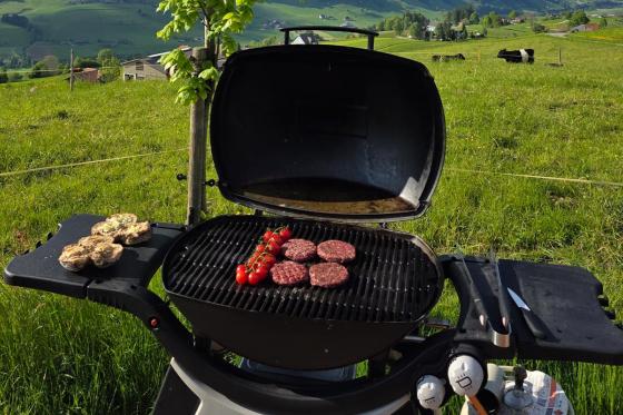 Schäferwagen Übernachtung - 1 Übernachtung im Hygge Schäferwagen für 2 Personen 3  Schäferwagen Übernachtung - 1 Übernachtung im Hygge Schäferwagen für 2 Personen 3