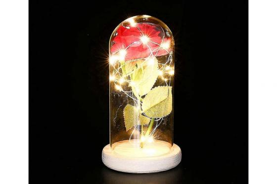 Rose LED sous dôme  - avec lumières LED 1 