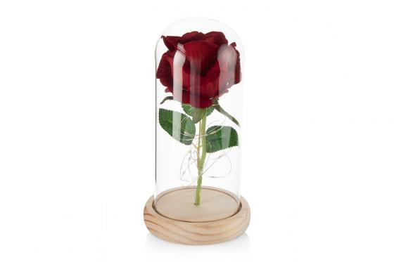 Rose LED sous dôme  - avec lumières LED 2 