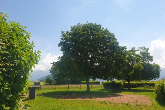 Séjour en tente panoramique - 1 nuit pour 2 personnes, avec petit déjeuner & repas du soir inclus 4 