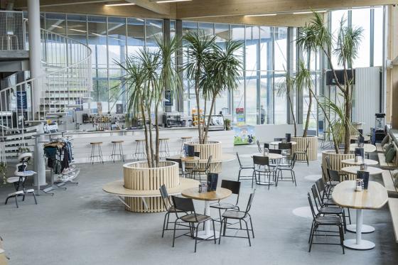 Massage corporel à Collombey - 60 minutes pour 1 personne 4 