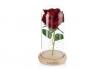 Rose LED sous dôme en verre - Avec gravure 