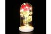 Rose im Glas mit Gravur - mit LED Lichter 1