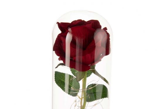 Rose LED sous dôme en verre - Avec gravure 2 