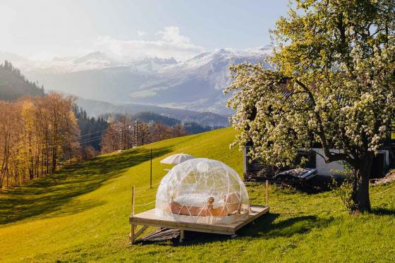 Bubble-Suite Übernachtung - mit Weitblick unter dem Birnenbaum für 2 Personen | wochentags  