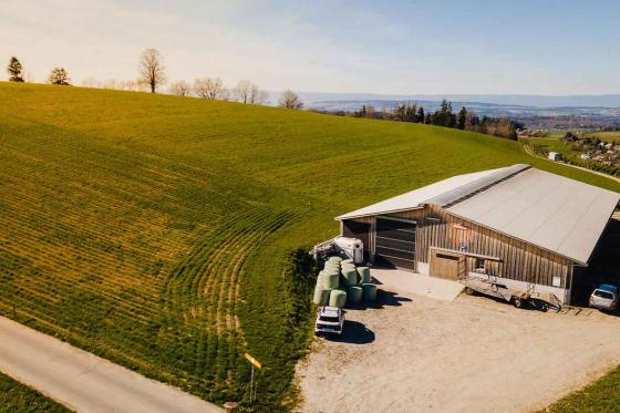 Nuit en Bubble-Suite à Gantrisch - En semaine, avec panier de petit déjeuner, pour 2 personnes 6 