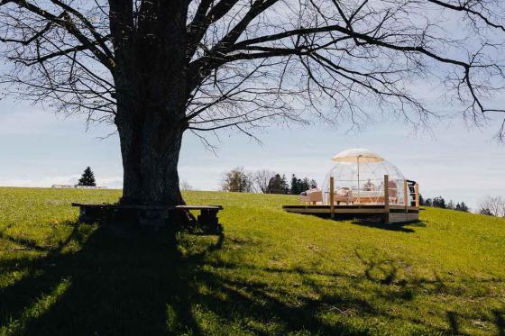 Nuit en Bubble-Suite à Gantrisch - En semaine, avec panier de petit déjeuner, pour 2 personnes 8 