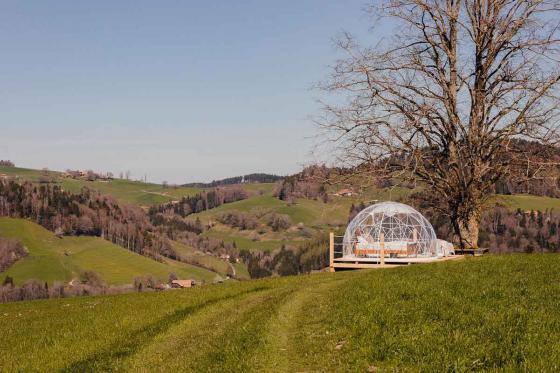 Nuit en Bubble-Suite à Gantrisch - En semaine, avec panier de petit déjeuner, pour 2 personnes 9 