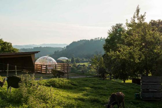 Bubble-Suite Übernachtung  - auf dem Lebenshof im Emmental für 2 Personen 4 
