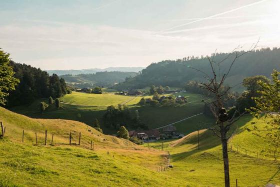 Bubble-Suite Übernachtung  - auf dem Lebenshof im Emmental für 2 Personen 6 