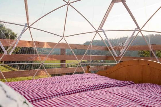 Bubble-Suite Übernachtung  - auf dem Lebenshof im Emmental für 2 Personen 8 