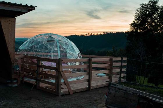 Bubble-Suite Übernachtung  - auf dem Lebenshof im Emmental für 2 Personen 9 