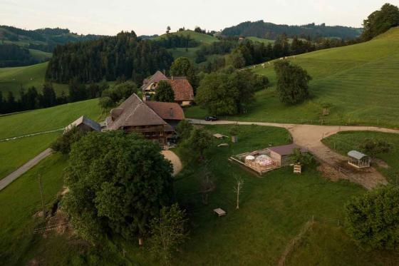 Nuit en Bubble-Suite  - En semaine, au refuge pour animaux, pour 2 personnes 1 