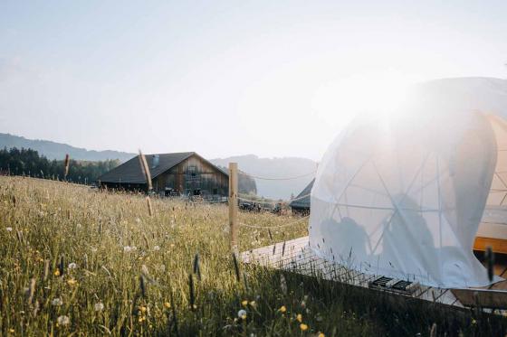 Bubble-Suite Übernachtung - inkl. Frühstück im Appenzellerland für 2 Personen 3 