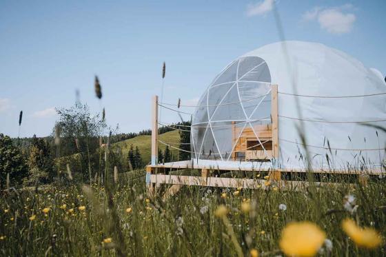 Bubble-Suite Übernachtung - inkl. Frühstück im Appenzellerland für 2 Personen 5 