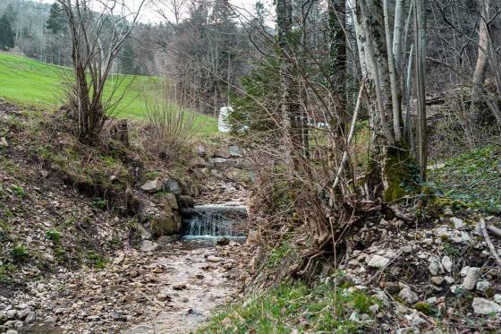Nuit en tente suspendue - En semaine, dans le Jura bâlois & petit déjeuner pour 2 personnes 5 