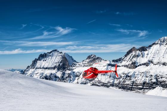 Berner Voralpen Heliflug - 45 minuten Eiger-Mönch-Jungfrau für 1 Person  