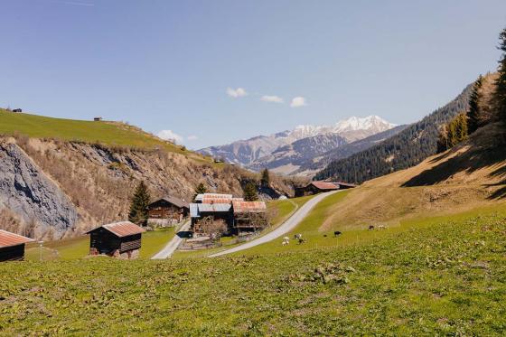 Nuit en Bubble-Suite aux Grisons - Au cœur des Grisons, avec petit déjeuner pour 2 personnes 13 