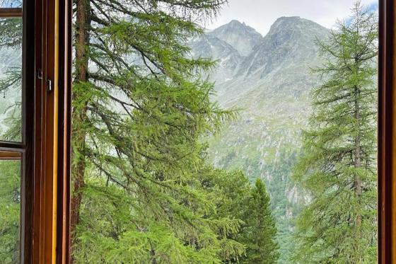 Auszeit am Fusse des Gletschers -  1 Übernachtung mit Frühstück und Abendessen für 2 Personen. 3 
