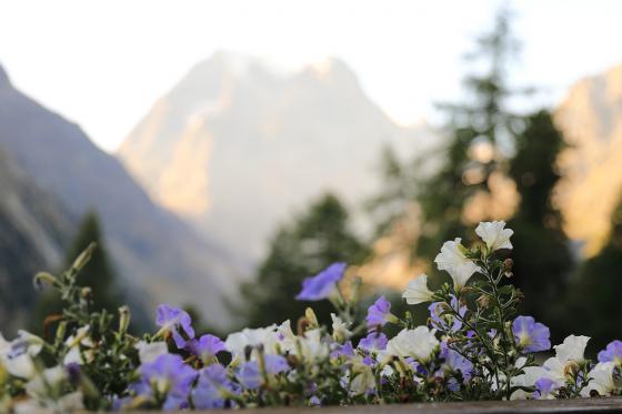 Auszeit am Fusse des Gletschers -  1 Übernachtung mit Frühstück und Abendessen für 2 Personen. 11 