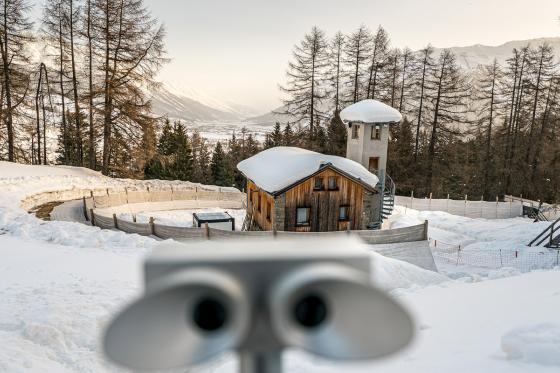 Bobsleigh à St. Moritz - Expérience unique dans un bobsleigh 4 places 6 