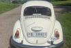Tagesfahrt VW Käfer weiss - Oldtimer mit Dachfenster selbstfahren 4