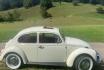 Tagesfahrt VW Käfer weiss - Oldtimer mit Dachfenster selbstfahren 6