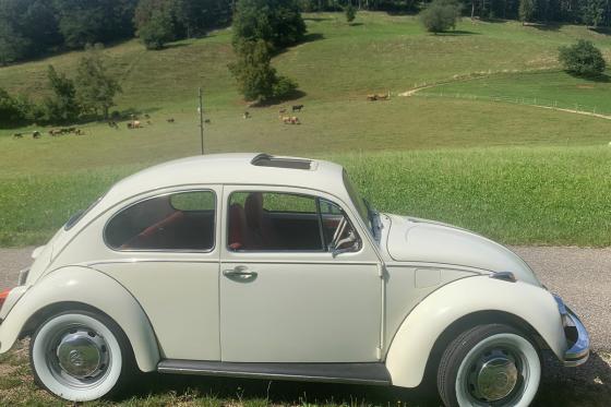 Excursion d'une journée en VW Coccinelle blanche - Conduisez vous-même cette voiture de collection à toit ouvrant 6 
