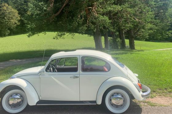 Excursion d'une journée en VW Coccinelle blanche - Conduisez vous-même cette voiture de collection à toit ouvrant 8 