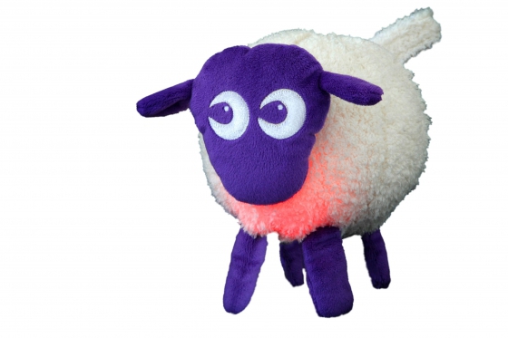 EWAN - The Dream Sheep  