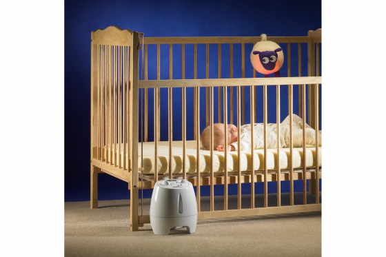 EWAN - The Dream Sheep 1 