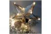 Pointe de sapin de Noël - Étoile à Led  1