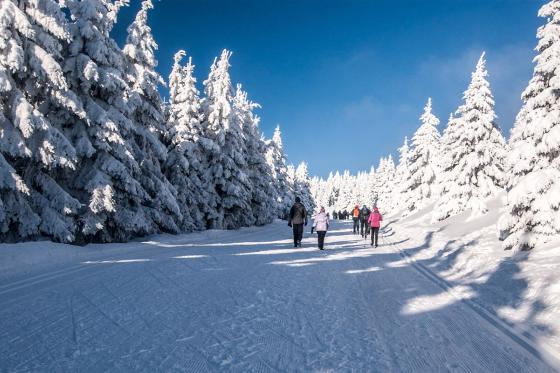 Fondue dans un igloo - Fondue au fromage à volonté pour 1 personne 6 