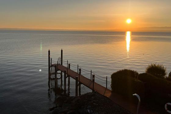 Wellness au lac de Constance - 1 nuit y compris dîner et location de vélo 12 