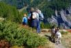 Spaziergang mit Zwergziegen - Spaziergang mit Zwergziegen in den Bergen für 1 bis 4 Personen 2